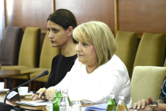 Sastanak-Zigmanov-Slavica-DJukic-Dejanovic-20