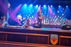 1000003087 1000003087