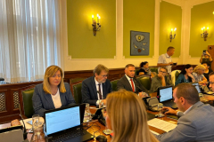 Sednica-Odbora-za-ljudska-i-manjinska-prava-i-ravnopravnost-polova-2