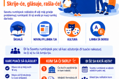 Poster-vlaski